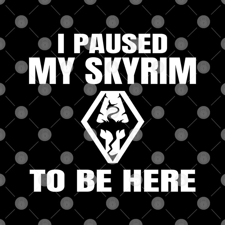 I Paused My Skyrim To Be Here Shirt