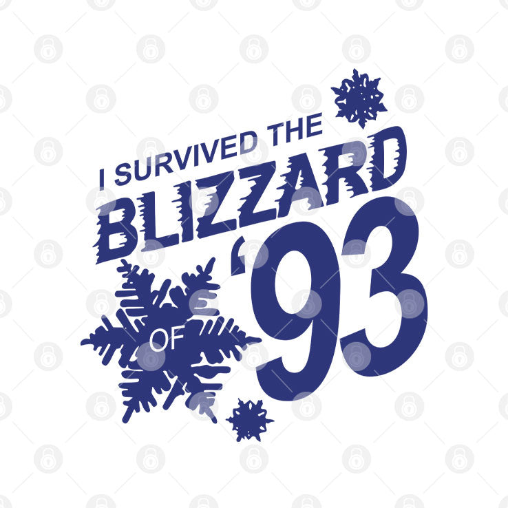 I Survived The Blizzard Of ’93 Sweatshirt