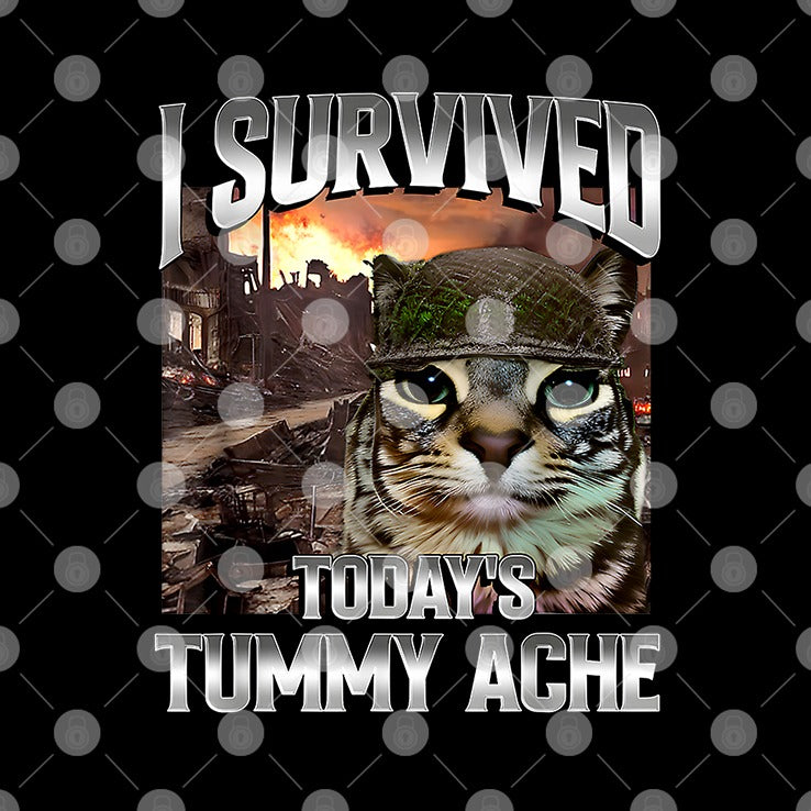 I Survived Today’s Tummy Ache Cat T Shirt