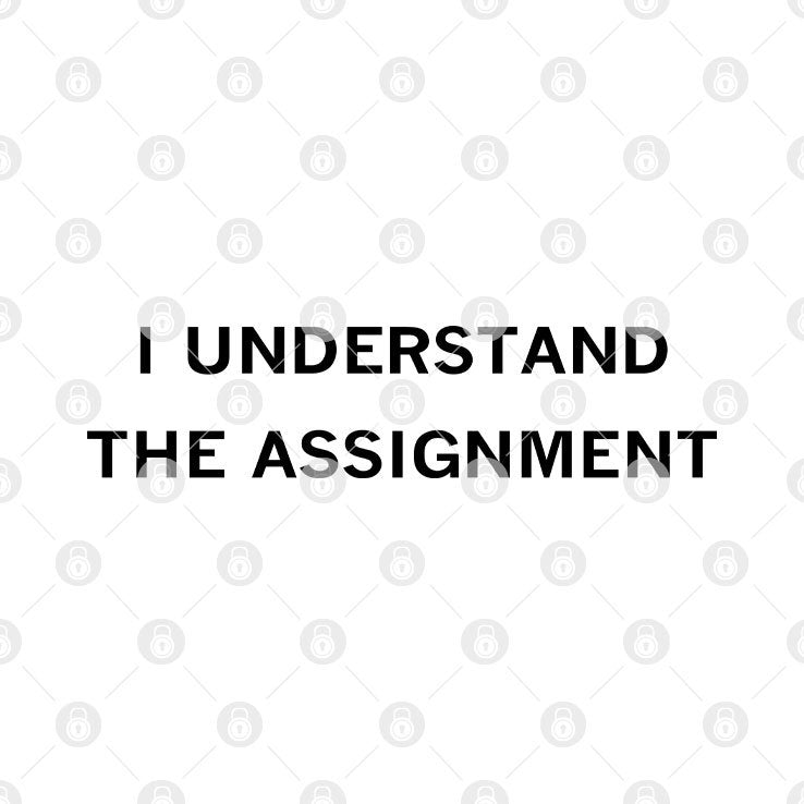 I Understand The Assignment Harris 2024 T Shirt