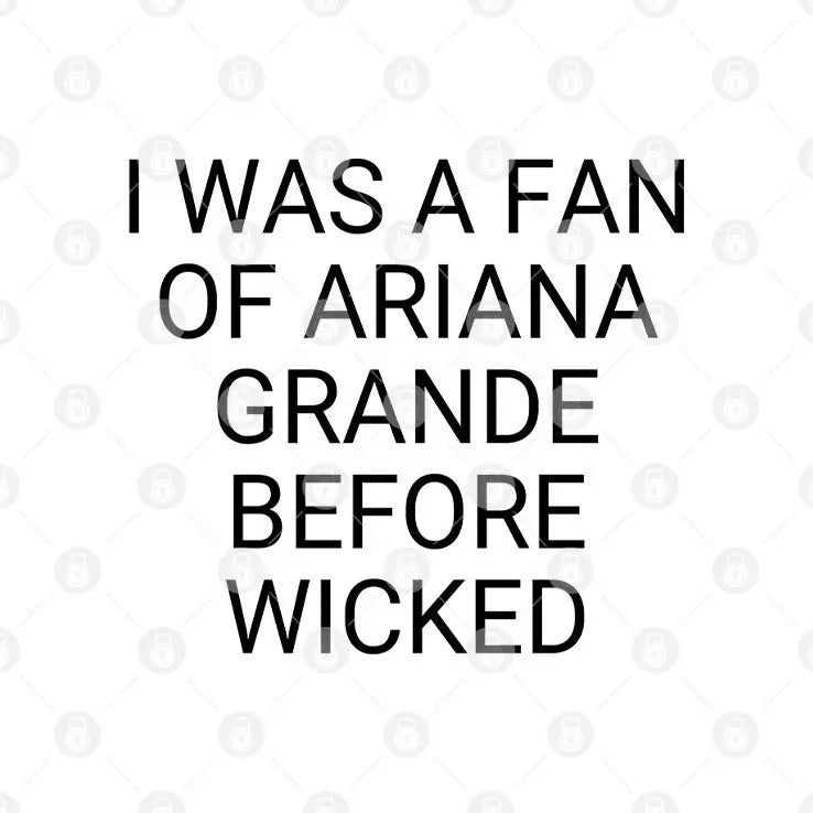 I Was A Fan Of Ariana Grande Before Wicked T Shirt