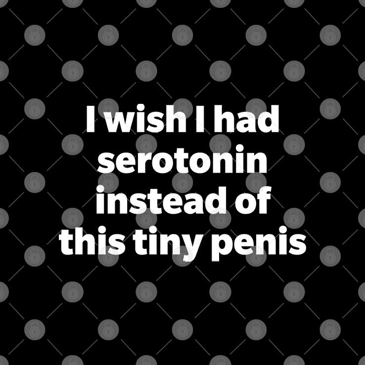 I Wish I Had Serotonin Instead Of This Tiny Penis Shirt
