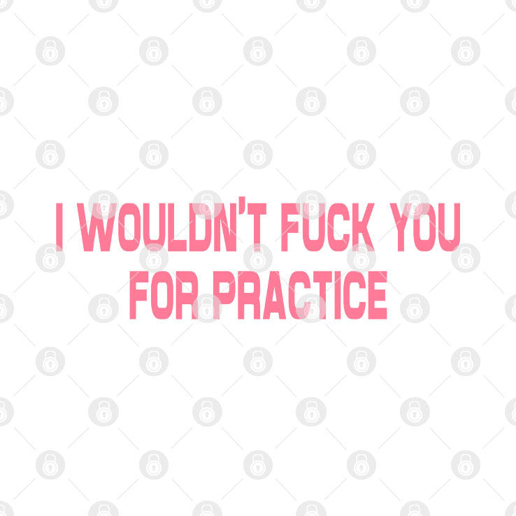 I Wouldn’t Fuck You For Practice T Shirt