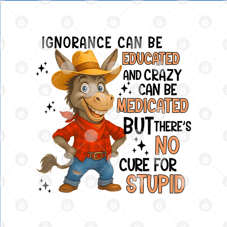 Ignorance Can Be Educated And Crazy Can Be Medicated But There’s No Cure For Stupid Shirt