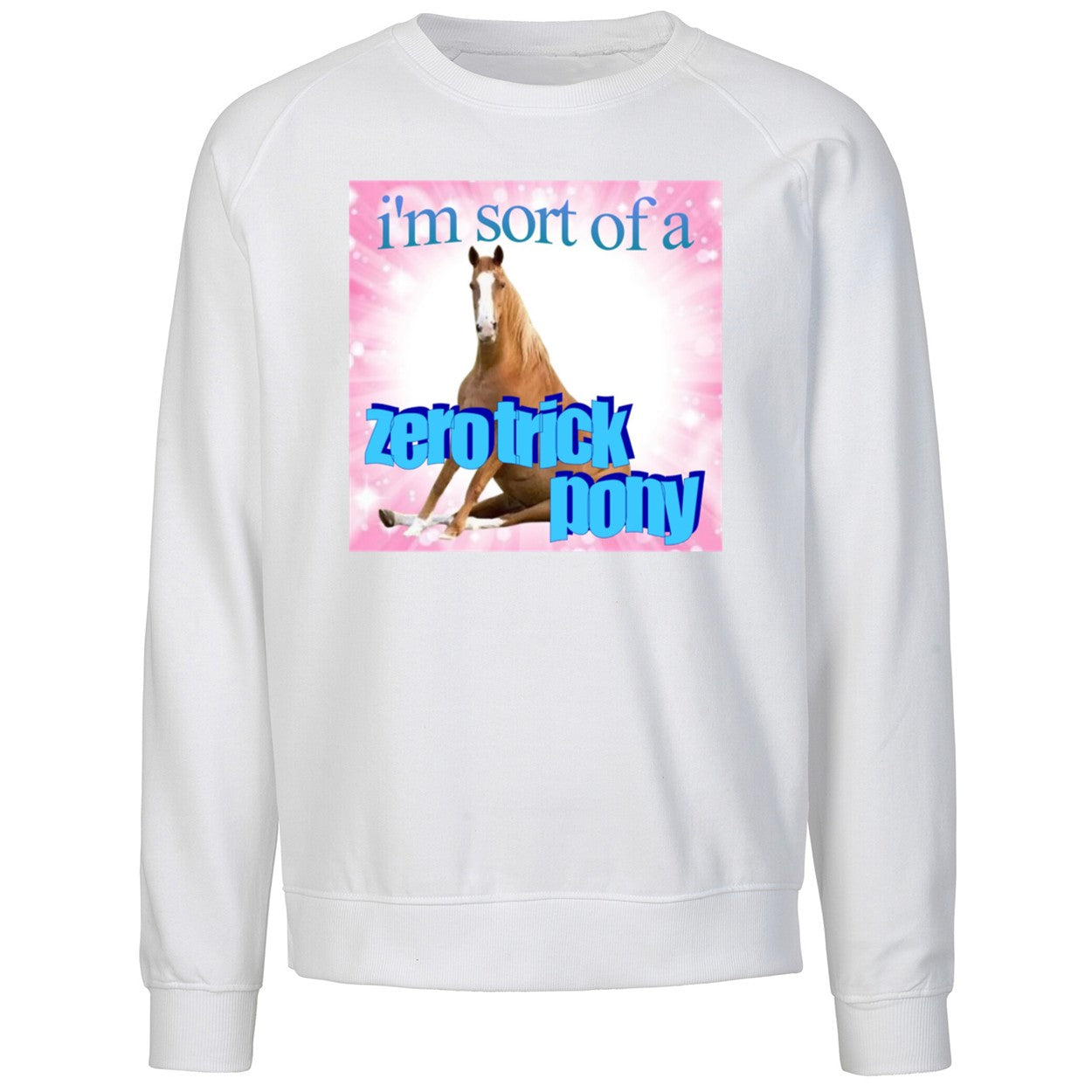 I’m Sort Of A Zero Trick Pony Shirt