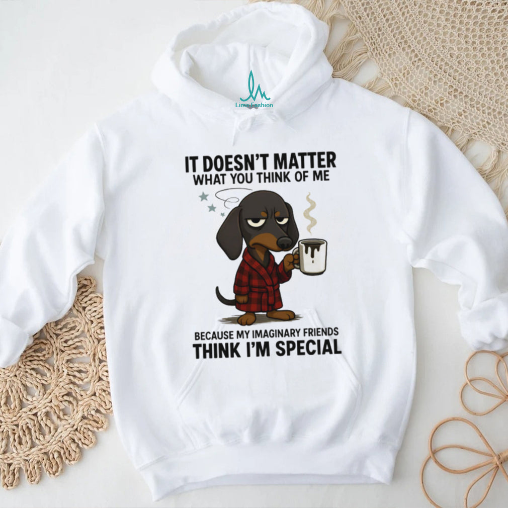“Imaginary Friends Think I’m Special” Grumpy Dachshund Coffee T Shirt