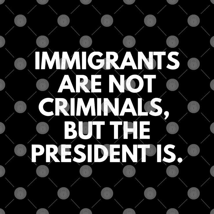 Immigrants Are Not Criminals But The President Is T Shirt