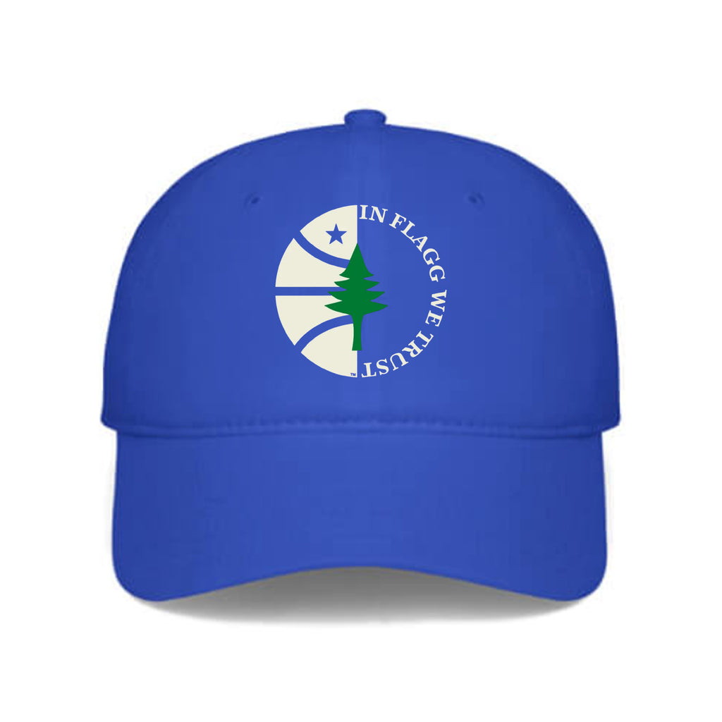 In Flagg We Trust Hat
