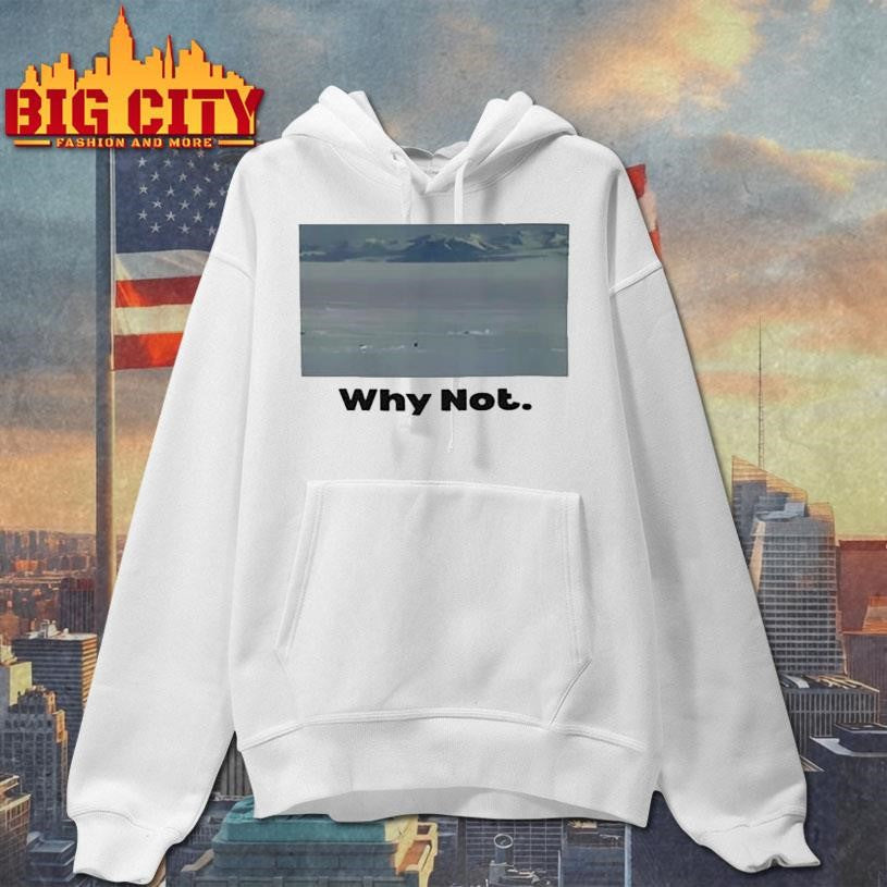 Inspirational Penguin Why Not Photo Shirt