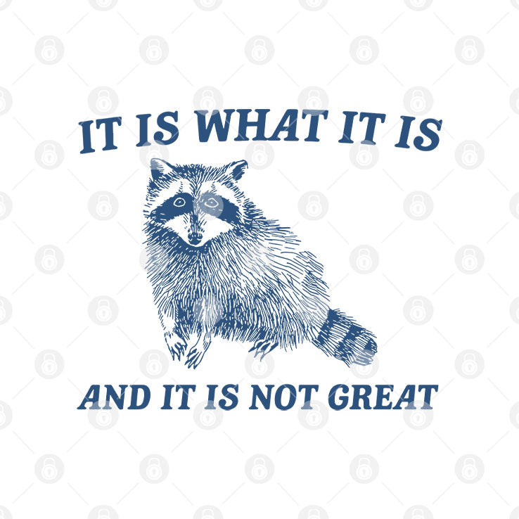It Is What It Is And It Is Not Great Raccoon T Shirt