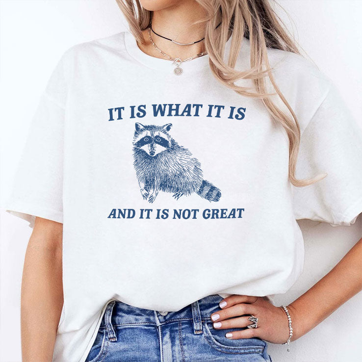 It Is What It Is And It Is Not Great Raccoon T Shirt