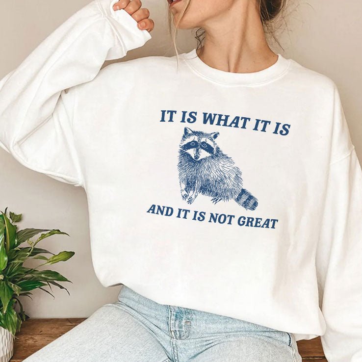 It Is What It Is And It Is Not Great Raccoon T Shirt