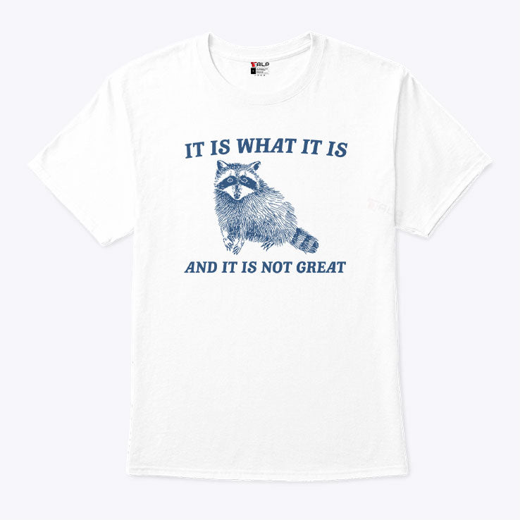It Is What It Is And It Is Not Great Raccoon T Shirt