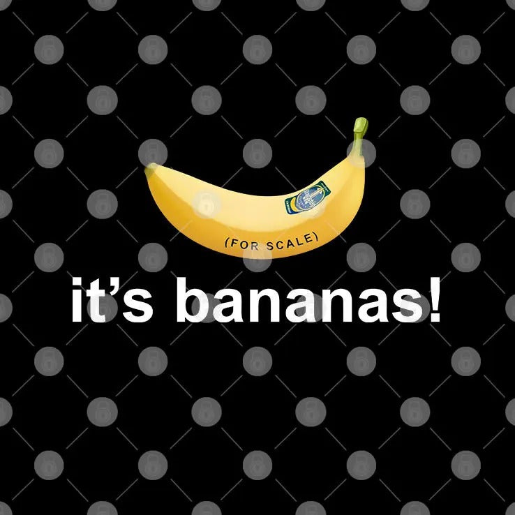 It’s Banana Spacex Starship Flight 6 T Shirt