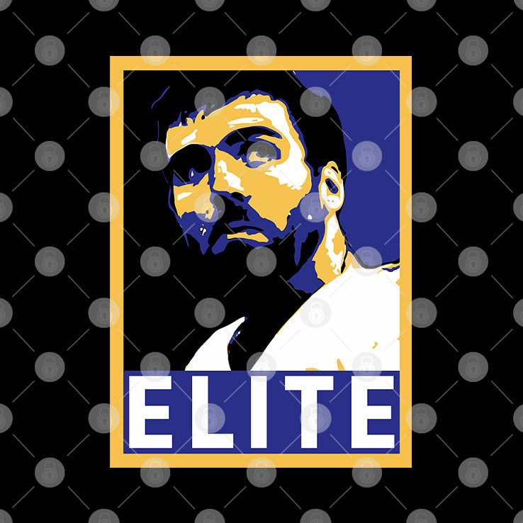 Joe Flacco Elite Baltimore Football Qb Fan Hope Poster Parody T Shirt