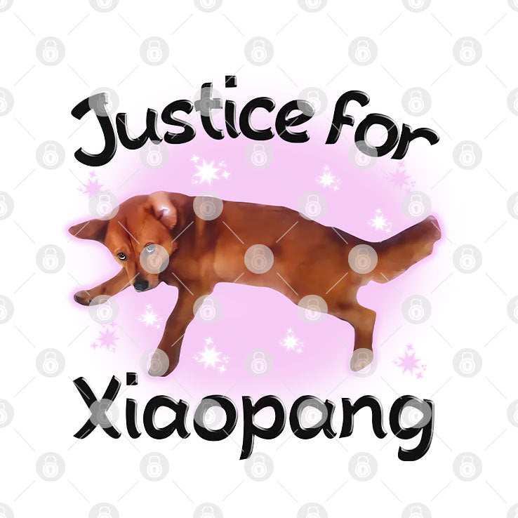 Justice For Xiaopang T Shirt