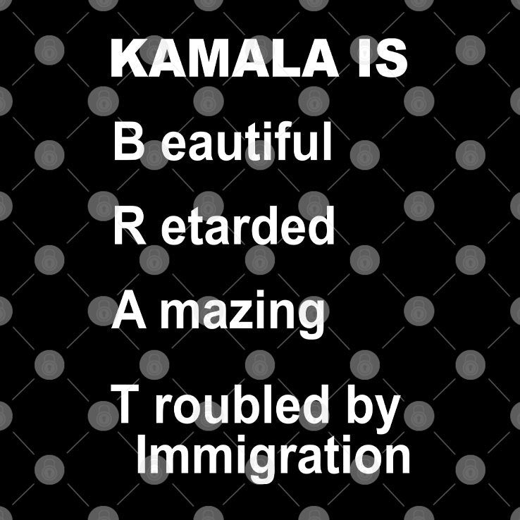 Kamala Is Brat Beautiful Retarded Amazing Troubled By Immigration Shirt