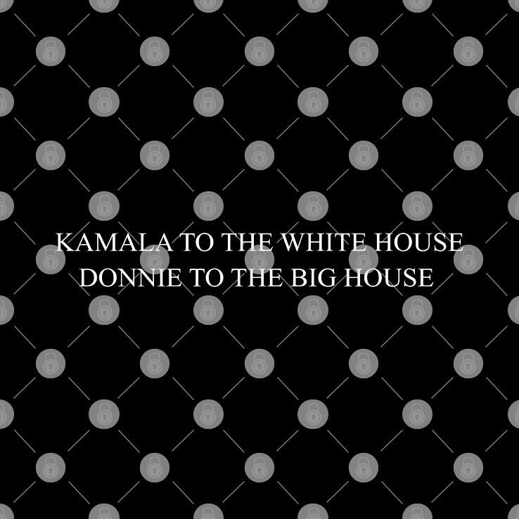 Kamala To The White House Donnie To The Big House Hat