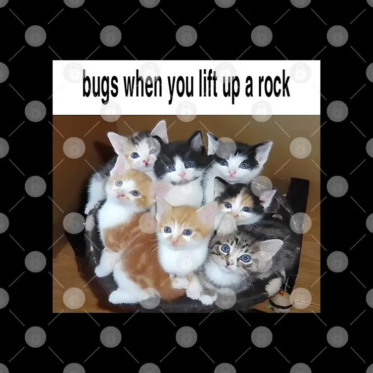 Kitten Bugs When You Lift Up A Rock T Shirt
