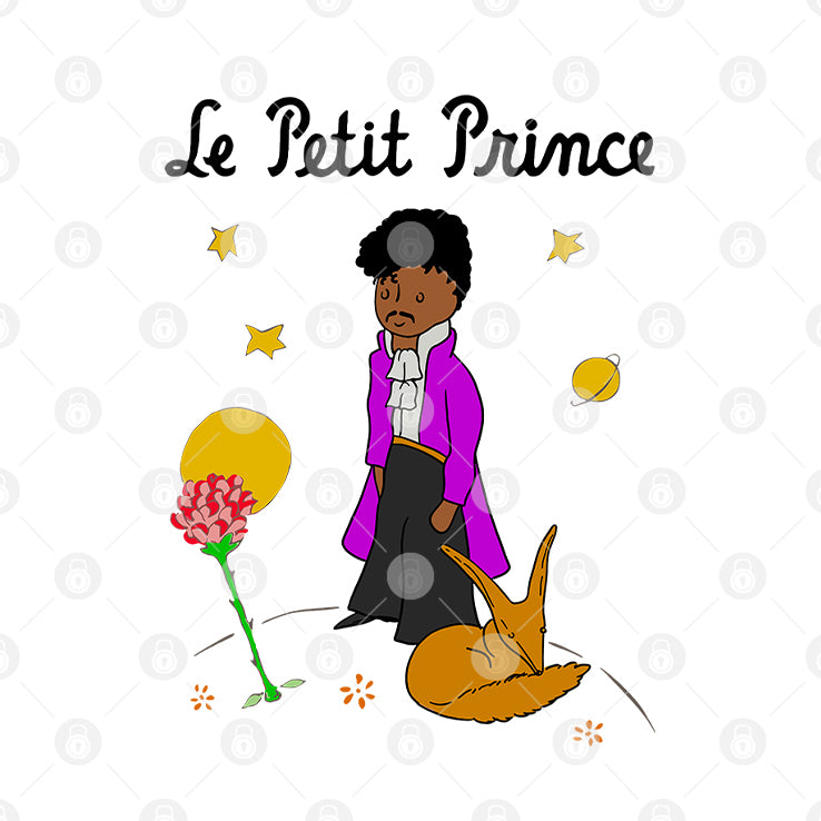 Le Petit Prince T Shirt