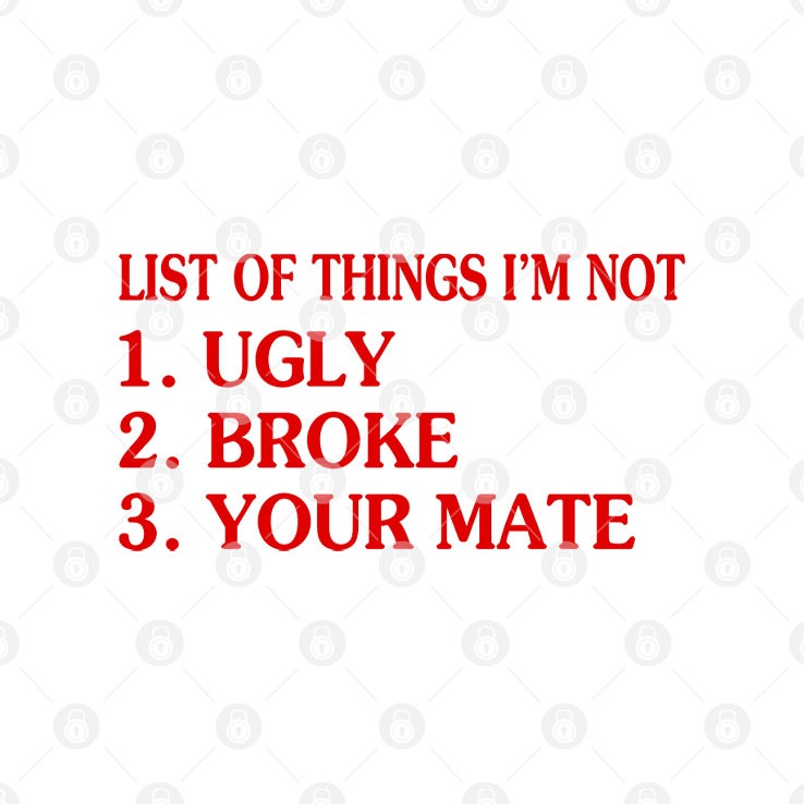 List Of Things I’m Not Ugly Broke Your Mate Shirt