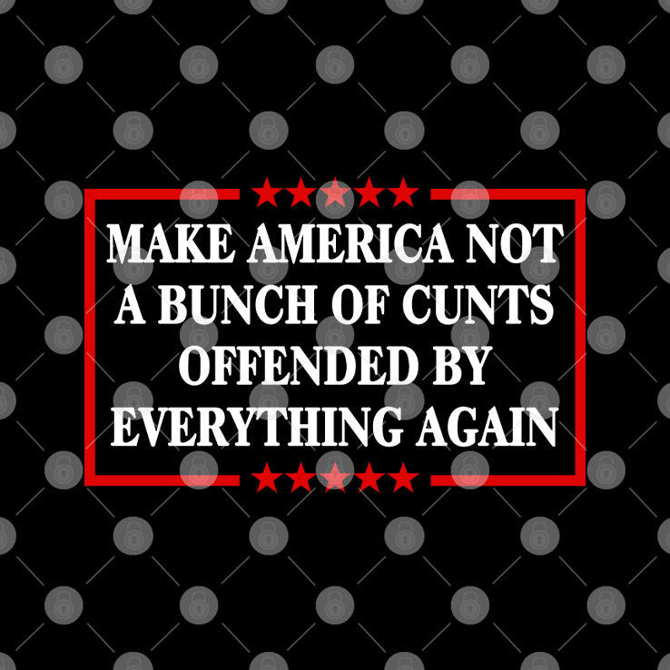Make America Not A Bunch Of Cunts Offended By Everything Again Tee Shirt