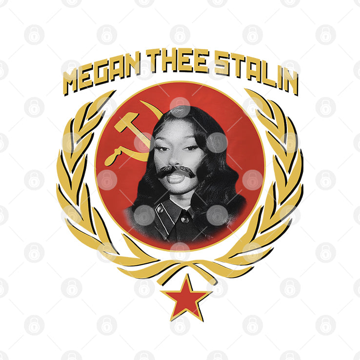 Megan Thee Stalin T Shirt