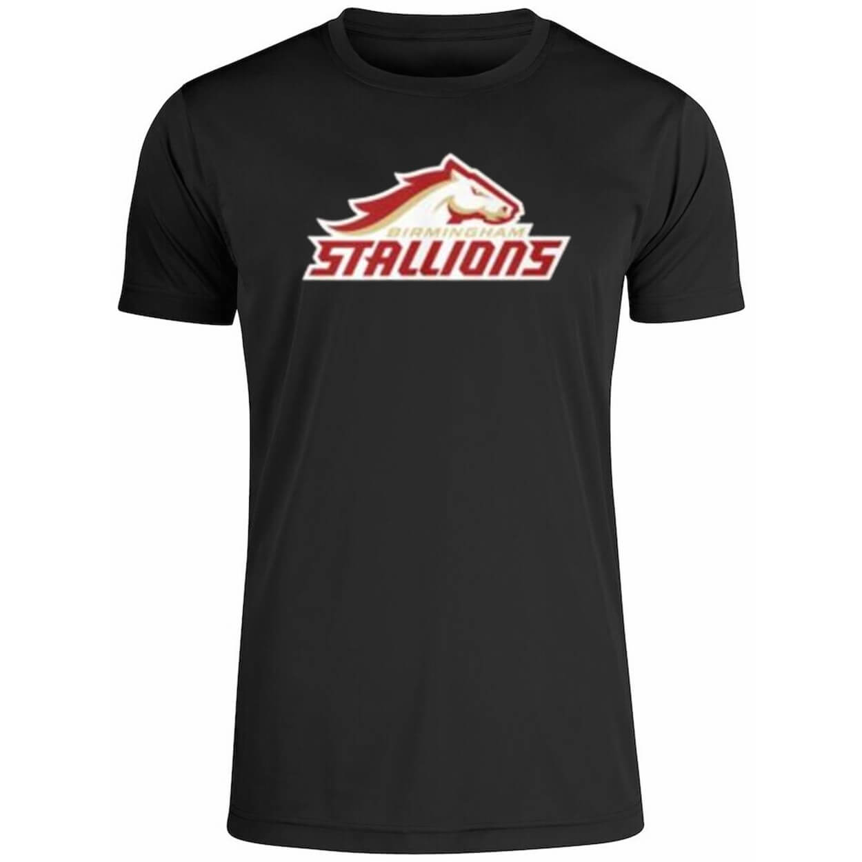 Mintzy Birmingham Stallions Shirt