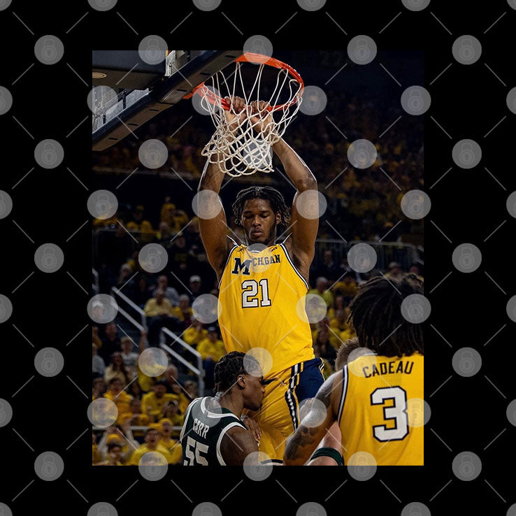 Morez Johnson Dunk Basketball T Shirt