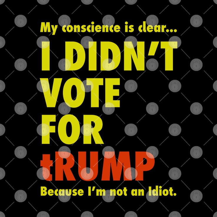My Conscience Is Clear I Didn’t Vote For Trump Because I’m Not An Idiot Shirt