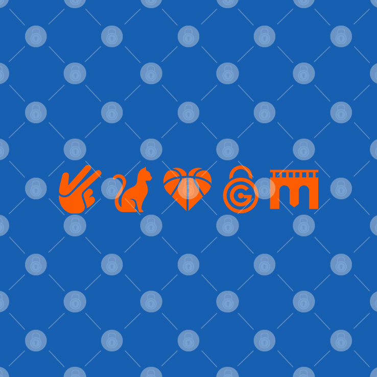 NYK 5 Icons T Shirt