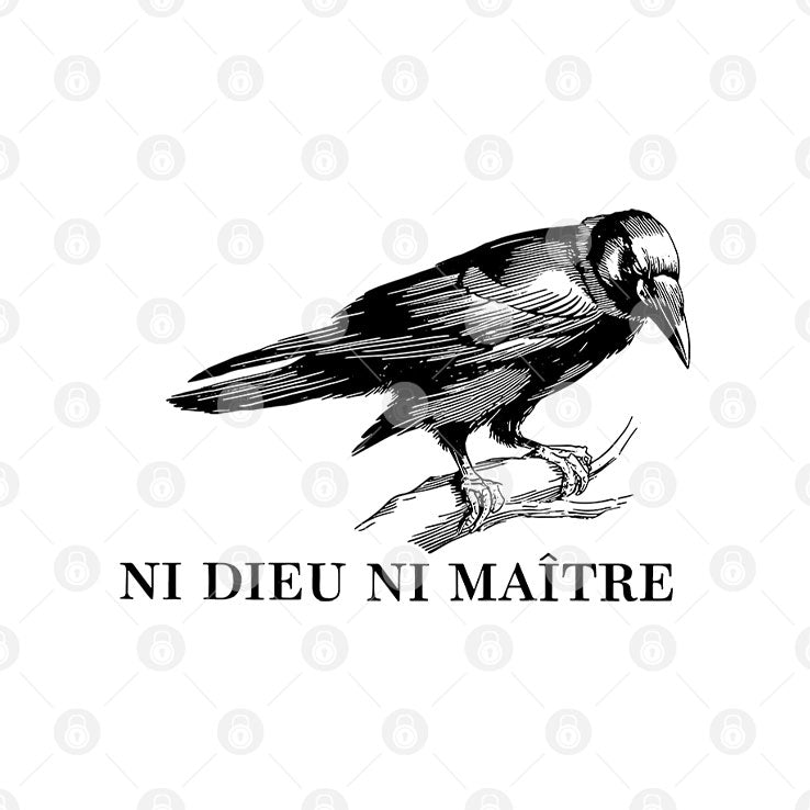 Ni Dieu Ni Maitre T Shirt