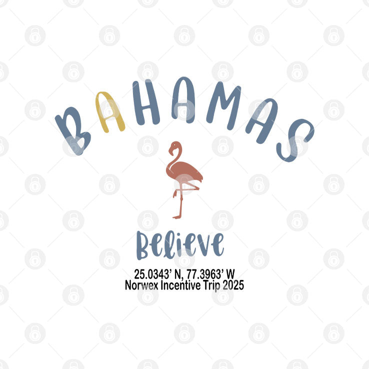 Norwex Bahamas Believe 2025 T Shirt