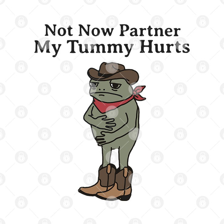 Not Now Partner My Tummy Hurts T Shirt