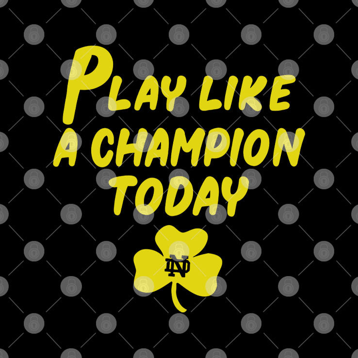 Notre Dame Fighting Irish Play Like A Champions Today T Shirt