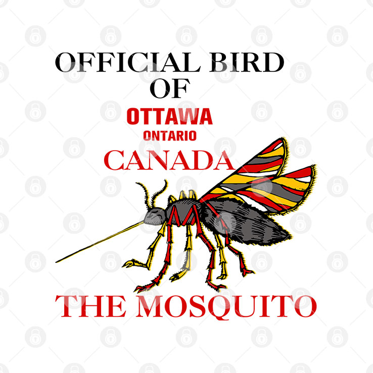 Bird Ottawa Ontario Canada The Mosquito Mug