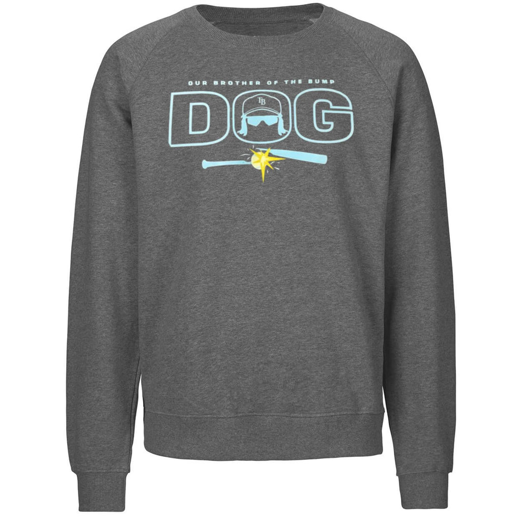 Rays Our Brother Of The Bump Dog Shirt