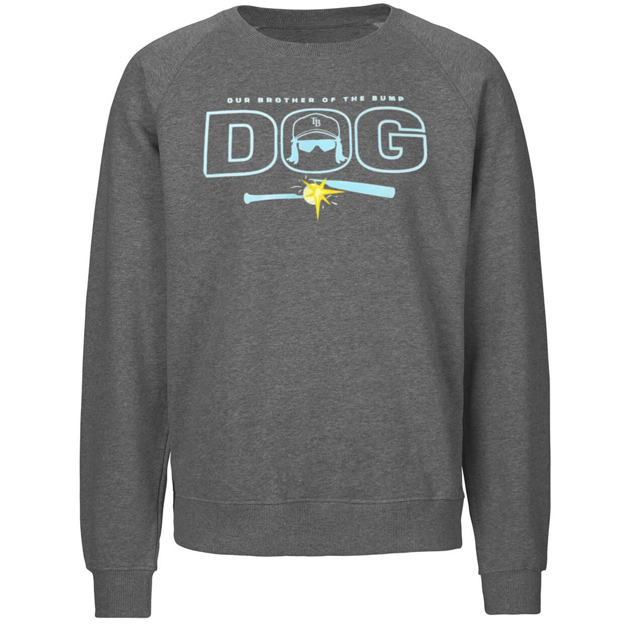 Rays Our Brother Of The Bump Dog Shirt