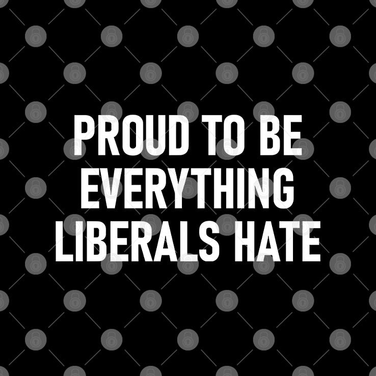 Proud To Be Everything Liberals Hate T Shirt