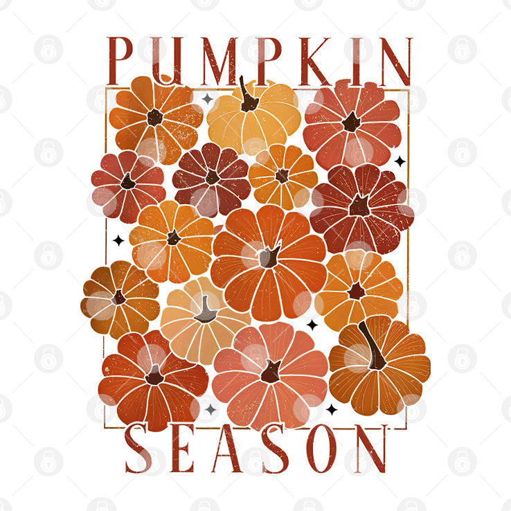 Autumn Pumpkin Season T Shirt
