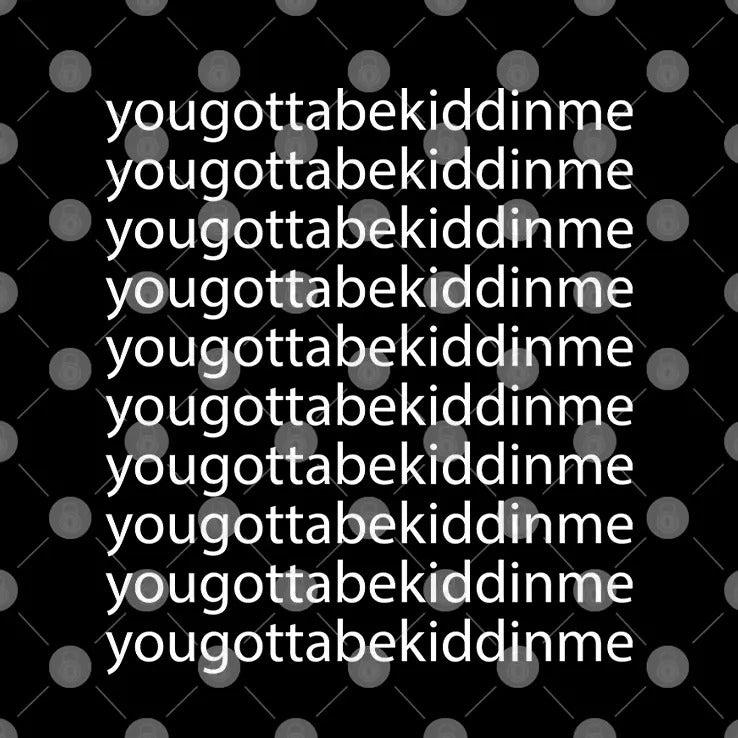 Reed Timmer You Gotta Be Kidding Me Shirt