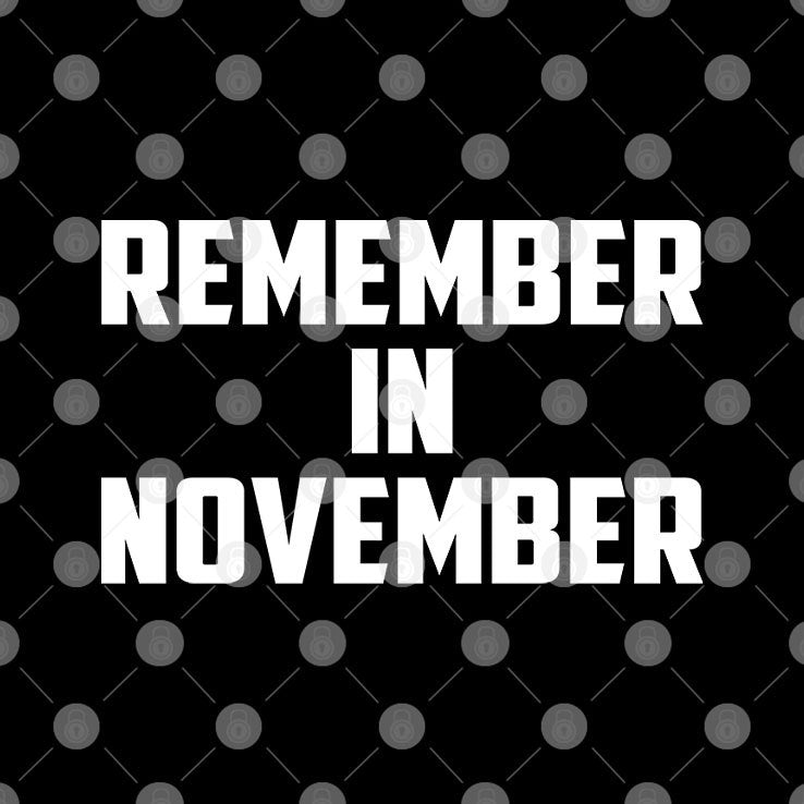 Remember In November Hurricane Helene Relief Efforts Shirt