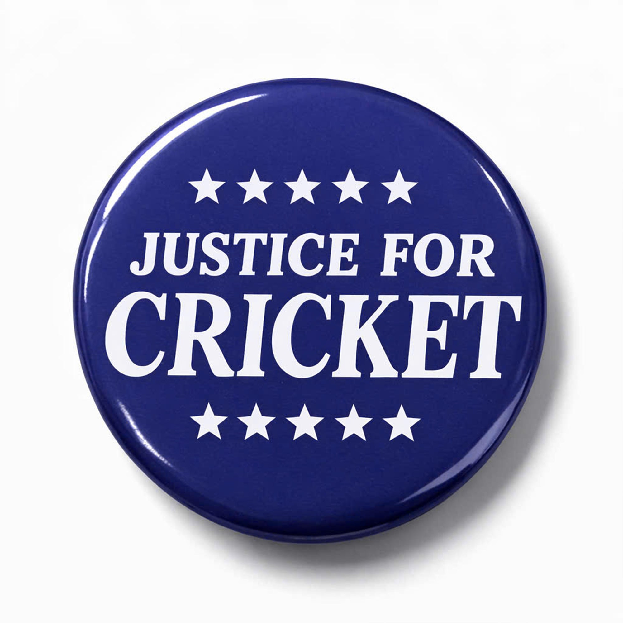 Rep Moskowitz Wearing Justice For Cricket Button