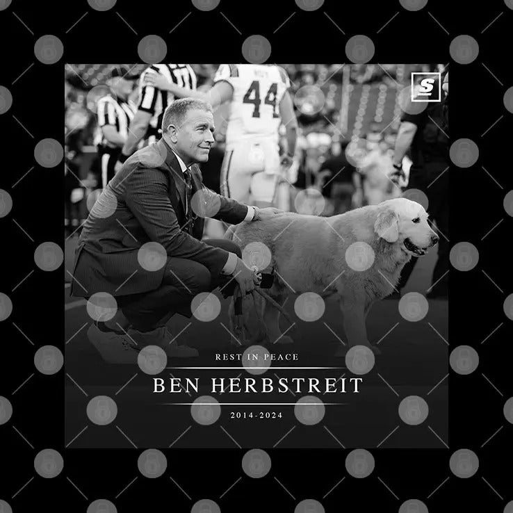 Rest In Peace Ben Herbstreit 2014 2024 Shirt