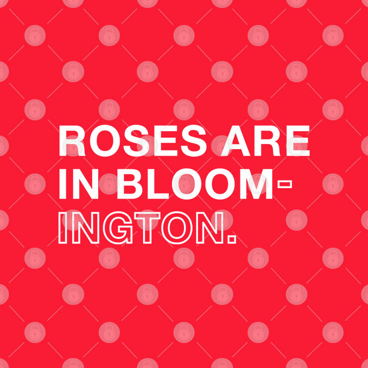 Roses Are In Bloom-ington T Shirt