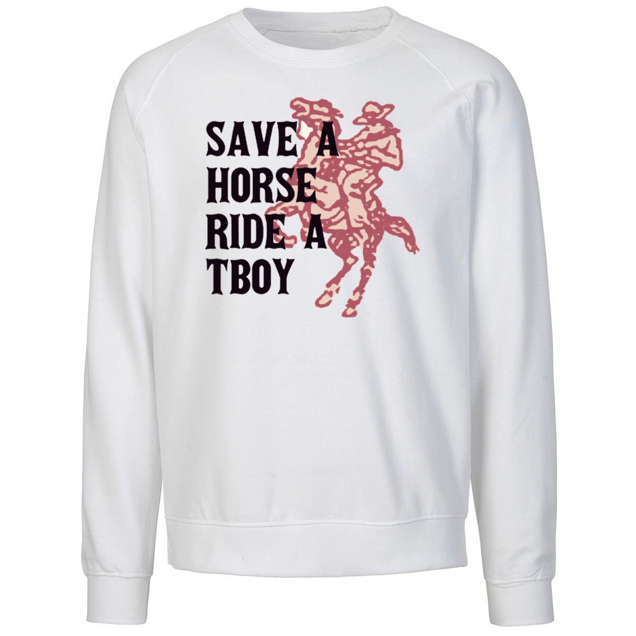 Save A Horse Ride A Tboy Shirt