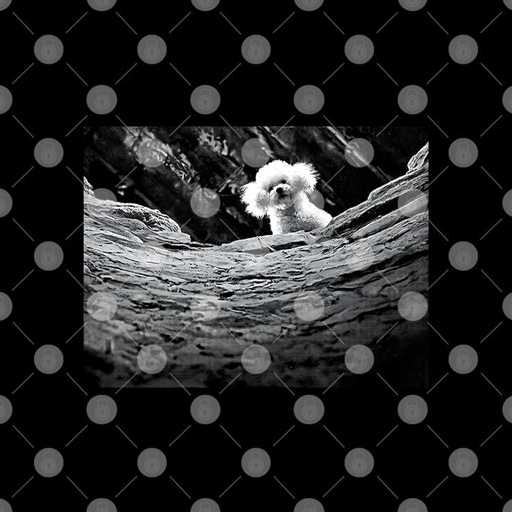 Silence Of The Lambs Precious Dog Shirt