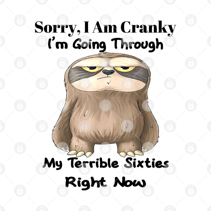 Sloth Sorry I Am Cranky I’m Going Through My Terrible Sixties Right Now Shirt