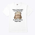 Sloth Sorry I Am Cranky I’m Going Through My Terrible Sixties Right Now Shirt