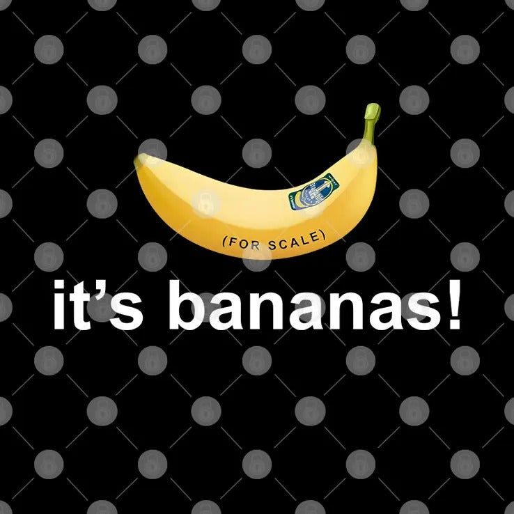 SpaceX Starship Flight 6 It’s Bananas Shirt